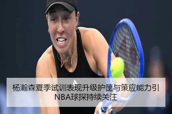杨瀚森夏季试训表现升级护筐与策应能力引NBA球探持续关注